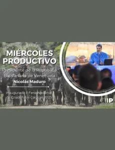 Miércoles Productivos- Venezuela lidera la cría de ganado bufalino en el continente
