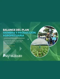 Miércoles productivo: Venezuela produce y avanza en las áreas agrícola y pecuaria